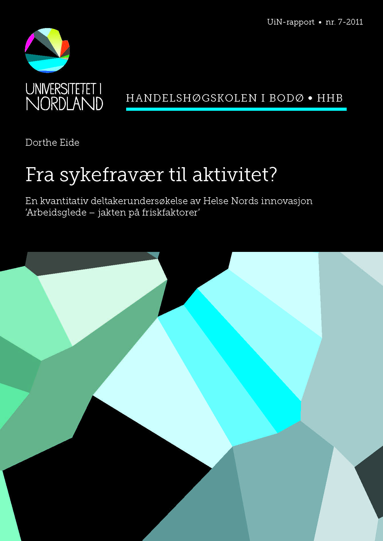 UiN rapport 7-2011